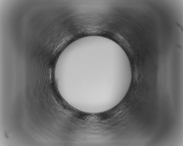 X0000100340115200806261336