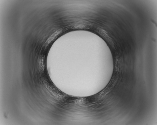 X0000100340116200806261336