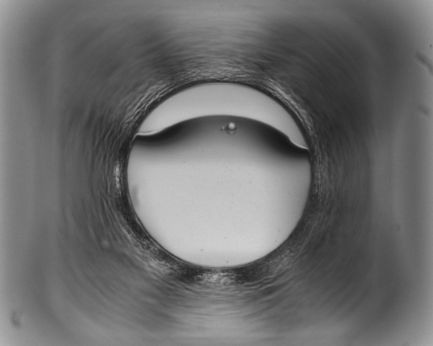 X0000100340117200806261336