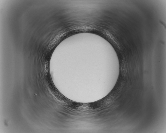 X0000100340119200806261336