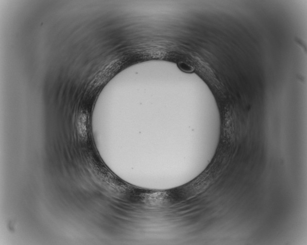 X0000100340122200806261336