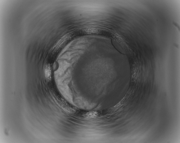 X0000100340124200806261336