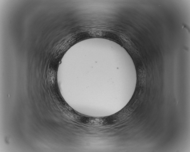 X0000100340125200806261336