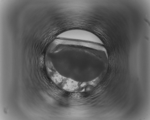 X0000100340127200806261336