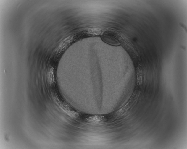 X0000100340128200806261336