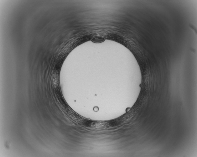 X0000100340129200806261336