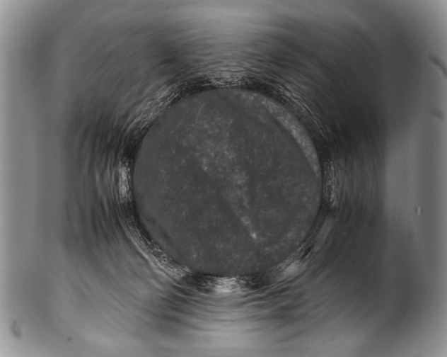 X0000100340130200806261336