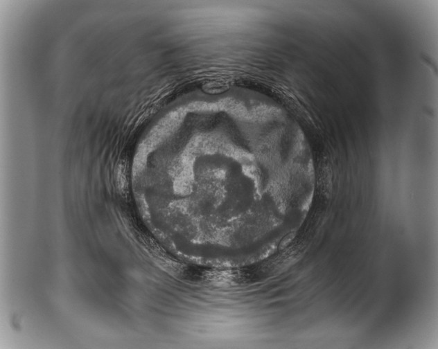 X0000100340131200806261336