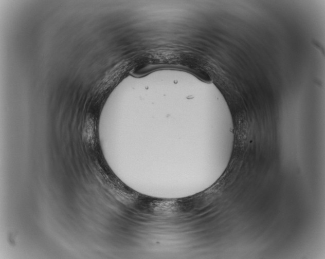 X0000100340132200806261336