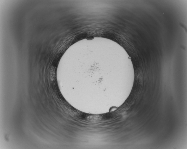 X0000100340133200806261336