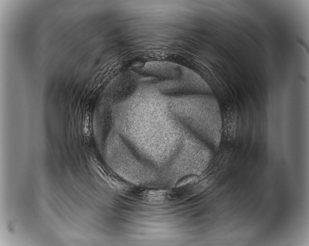 X0000100340134200806261336