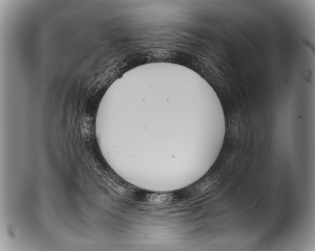 X0000100340135200806261336