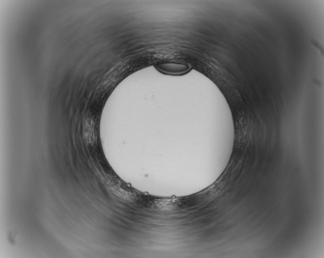 X0000100340136200806261336