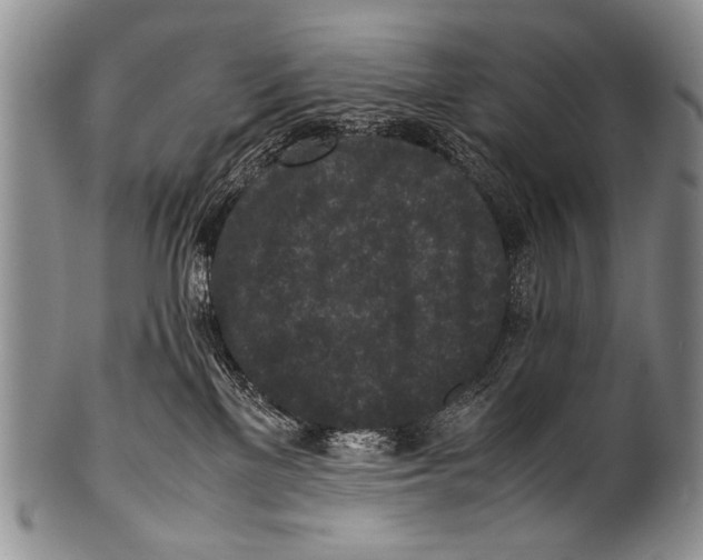 X0000100340137200806261336