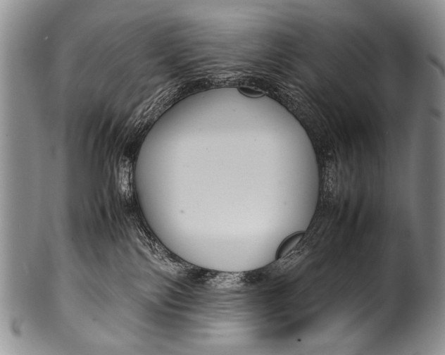 X0000100340138200806261336