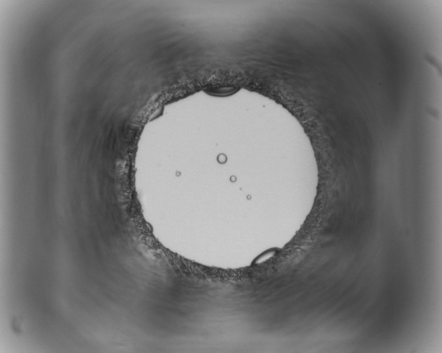 X0000100340144200806261336