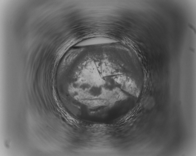 X0000100340145200806261335