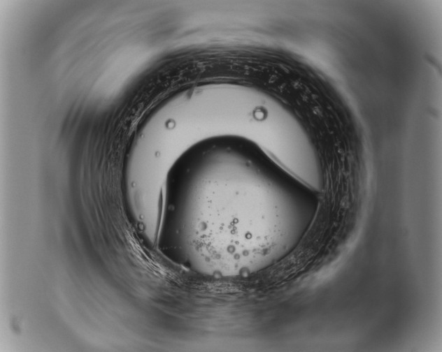 X0000100340146200806261335