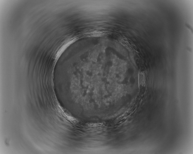 X0000100340147200806261335