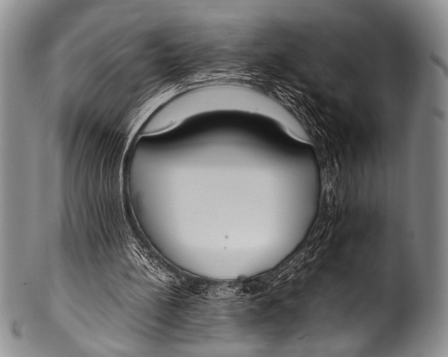 X0000100340148200806261335