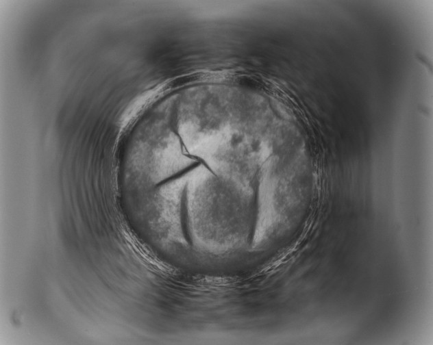 X0000100340149200806261335