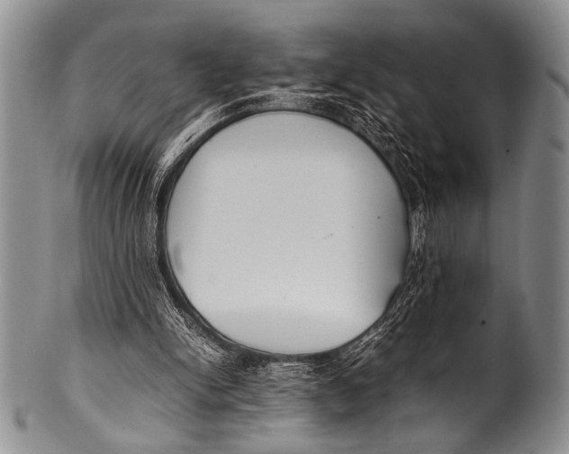 X0000100340150200806261335