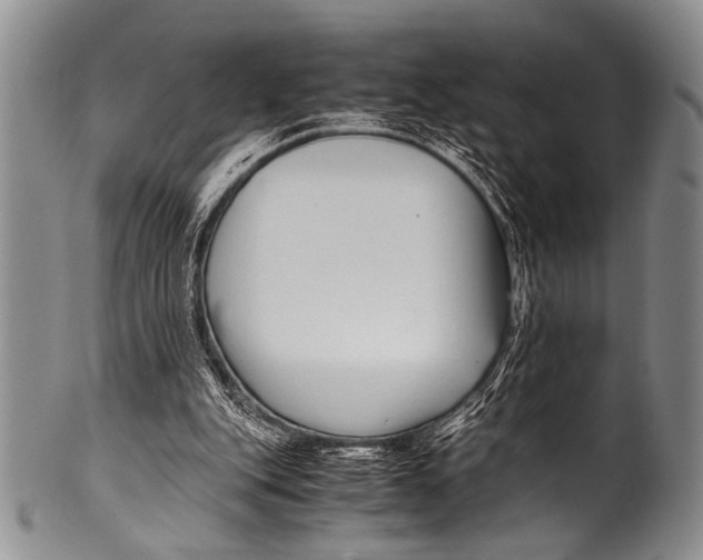 X0000100340151200806261335