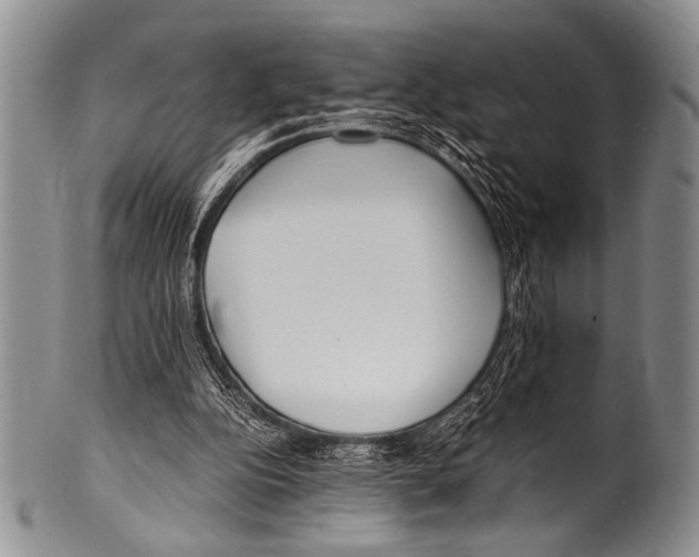 X0000100340152200806261335