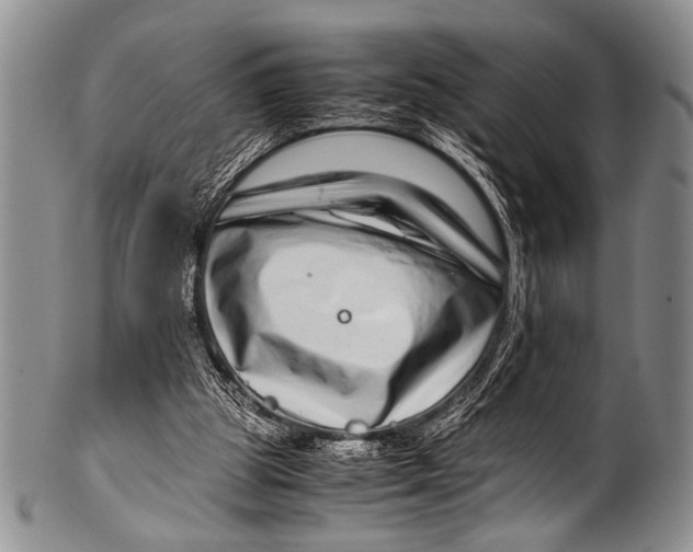 X0000100340153200806261335