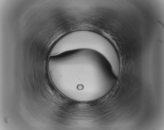 X0000100340154200806261335