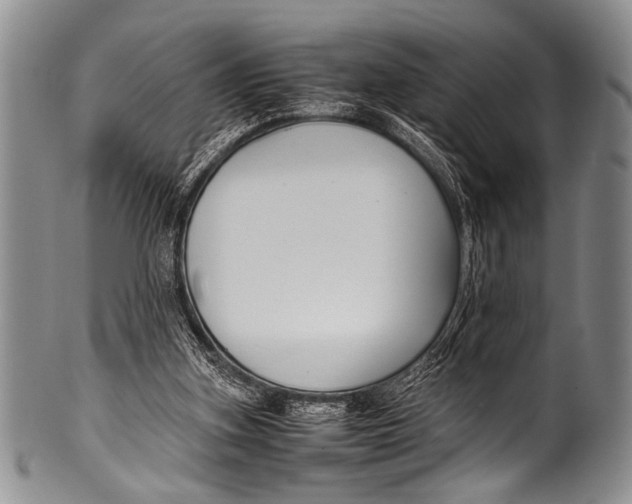 X0000100340155200806261335