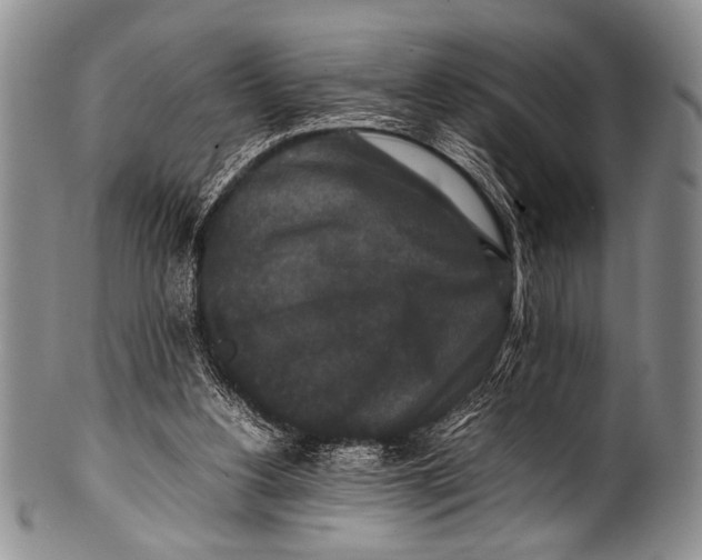 X0000100340156200806261335