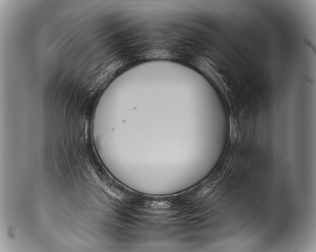 X0000100340157200806261335