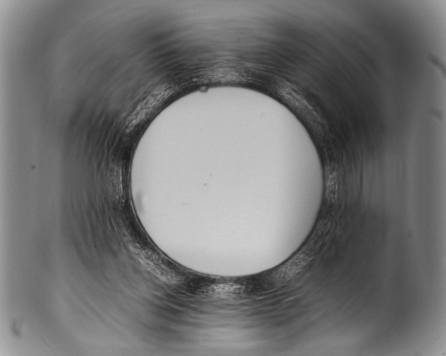 X0000100340158200806261335