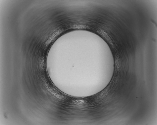 X0000100340159200806261335