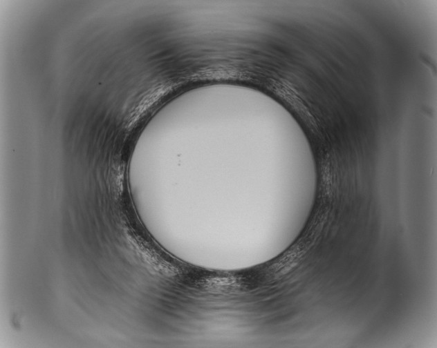 X0000100340160200806261335