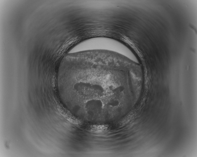 X0000100340161200806261335