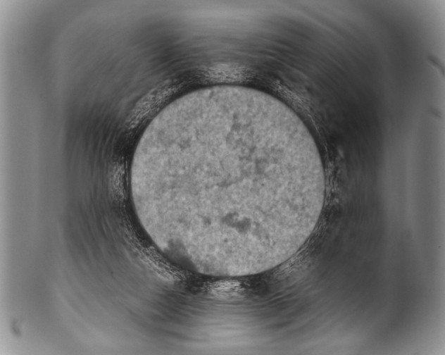 X0000100340162200806261335