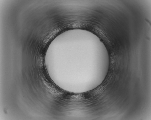 X0000100340164200806261335