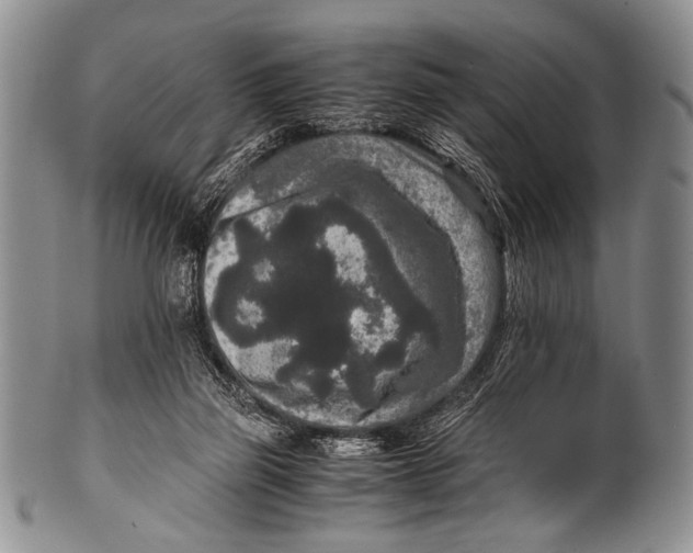 X0000100340165200806261335