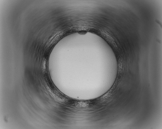 X0000100340166200806261335