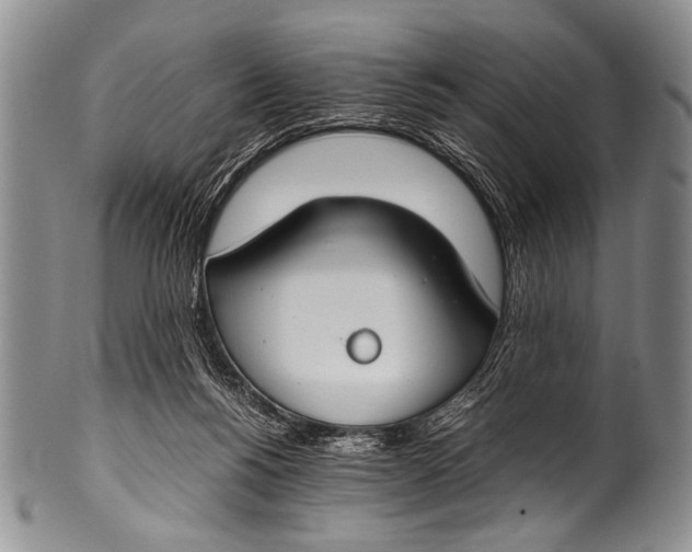 X0000100340168200806261335