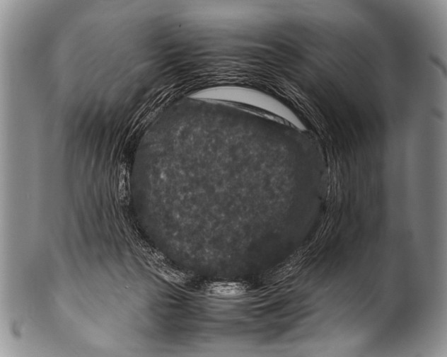 X0000100340169200806261335