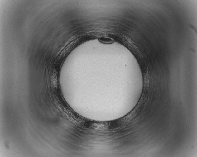 X0000100340170200806261335