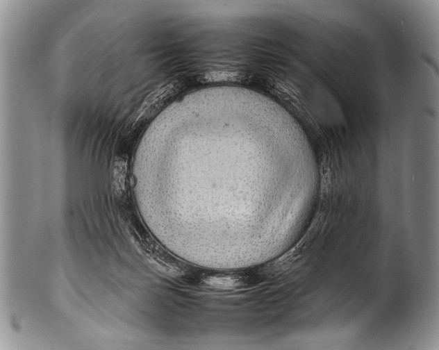 X0000100340171200806261335