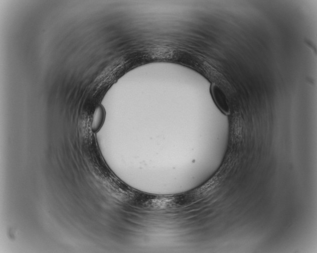 X0000100340172200806261335