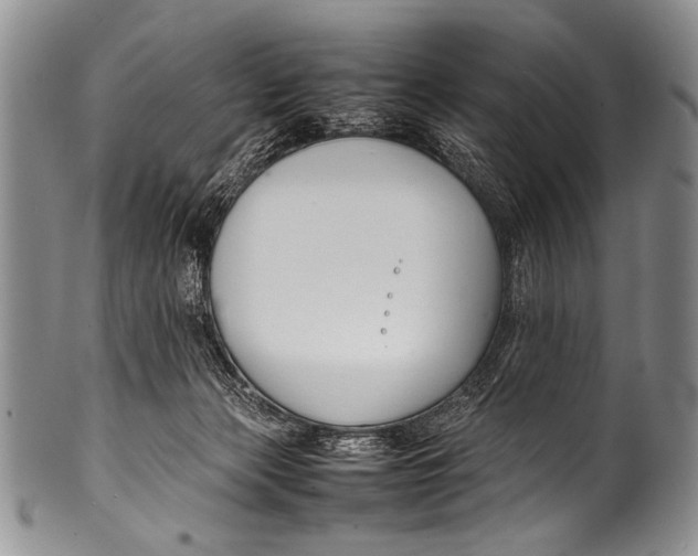 X0000100340173200806261335