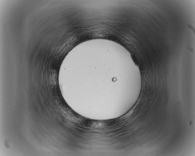 X0000100340174200806261335