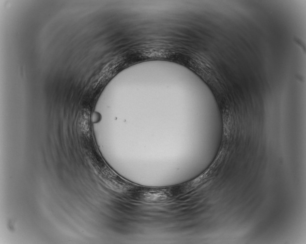 X0000100340175200806261335