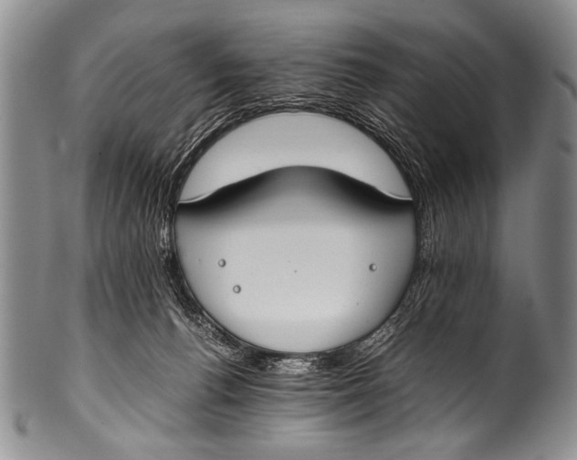 X0000100340176200806261335